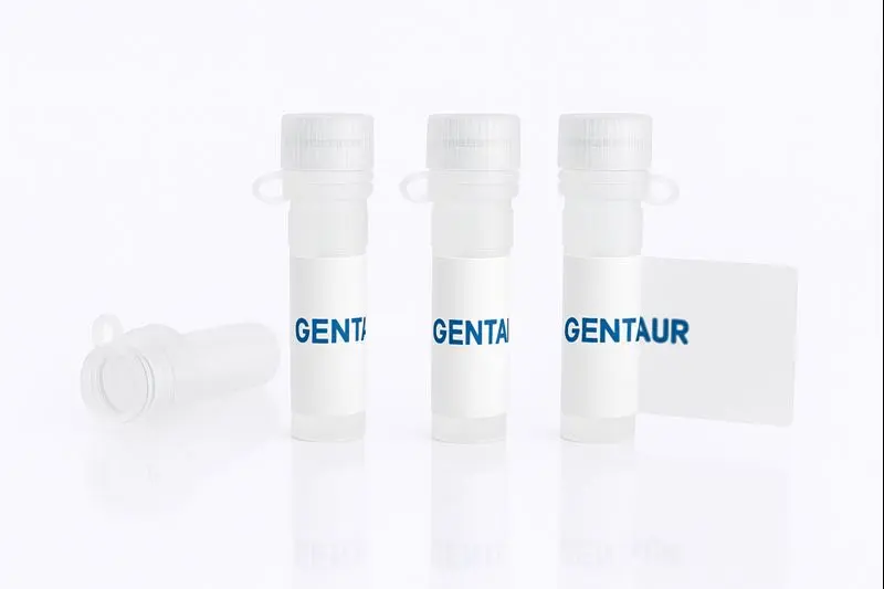 IFN-gamma R1/CD119, Mouse (HEK293, Fc)