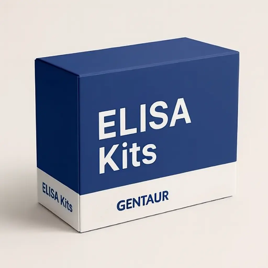 Human Septin 12 (SEPT12) ELISA Kit