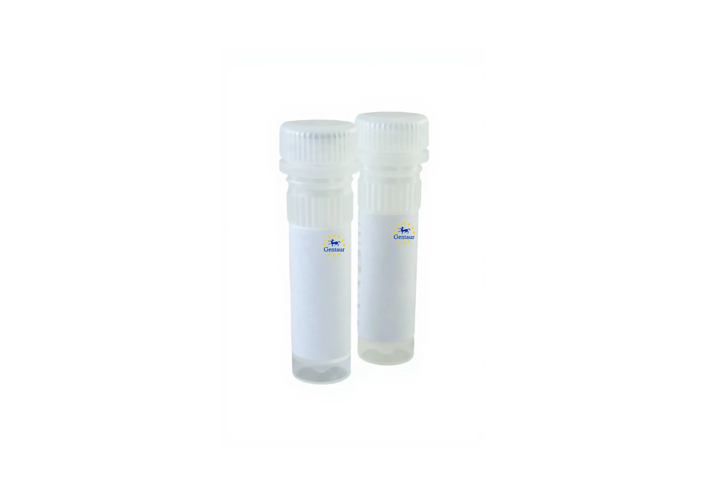  qmax green with non reactive blue tracking dye lowo rox qpcr mix 5000 reactions